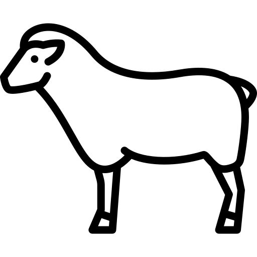 Агнешко